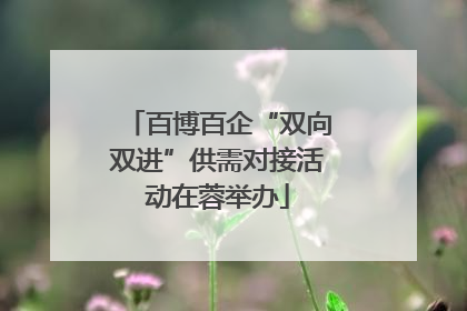 百博百企“双向双进”供需对接活动在蓉举办