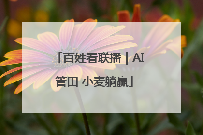 百姓看联播｜AI管田 小麦躺赢