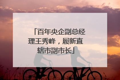 百年央企副总经理王秀峰，履新直辖市副市长