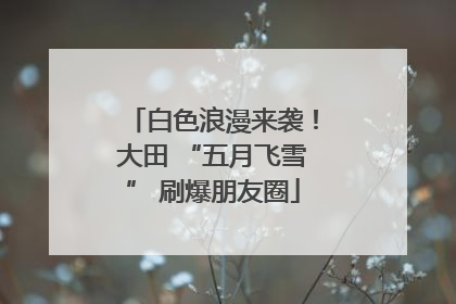 白色浪漫来袭！大田 “五月飞雪” 刷爆朋友圈
