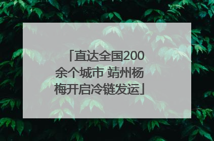 直达全国200余个城市 靖州杨梅开启冷链发运