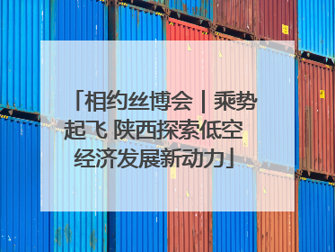 相约丝博会｜乘势起飞 陕西探索低空经济发展新动力