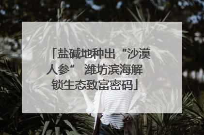 盐碱地种出“沙漠人参” 潍坊滨海解锁生态致富密码
