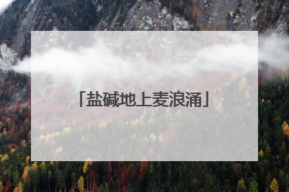 盐碱地上麦浪涌