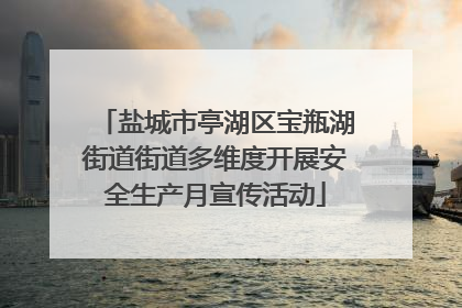 盐城市亭湖区宝瓶湖街道街道多维度开展安全生产月宣传活动