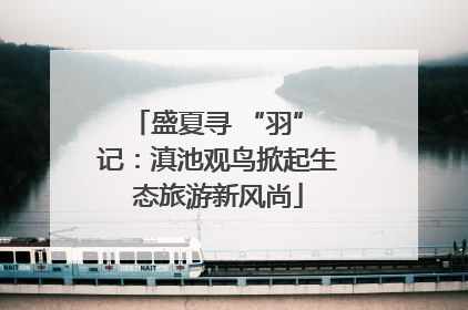 盛夏寻 “羽” 记：滇池观鸟掀起生态旅游新风尚