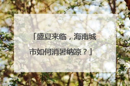 盛夏来临，海南城市如何消暑纳凉？