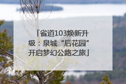 省道103焕新升级：泉城“后花园”开启梦幻公路之旅