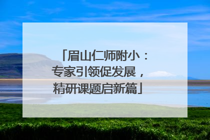 眉山仁师附小：专家引领促发展，精研课题启新篇