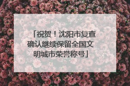 祝贺！沈阳市复查确认继续保留全国文明城市荣誉称号