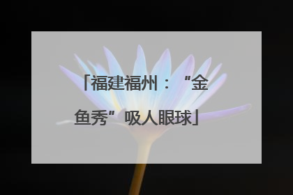 福建福州：“金鱼秀”吸人眼球