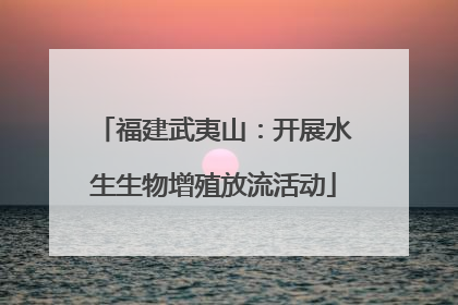福建武夷山：开展水生生物增殖放流活动