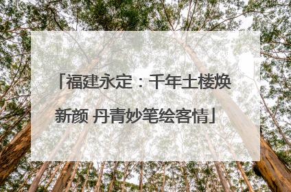 福建永定：千年土楼焕新颜 丹青妙笔绘客情