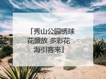 秀山公园绣球花盛放 多彩花海引客来