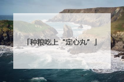 种粮吃上“定心丸”