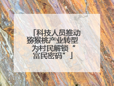 科技人员推动猕猴桃产业转型 为村民解锁“富民密码”