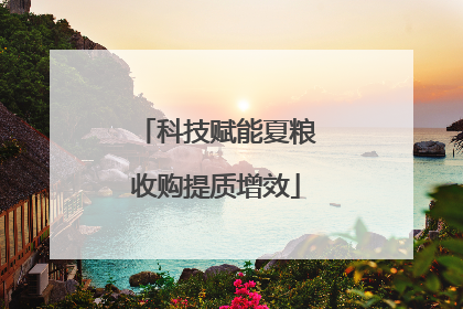 科技赋能夏粮收购提质增效