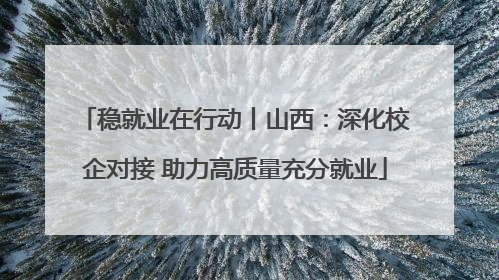 稳就业在行动丨山西：深化校企对接 助力高质量充分就业