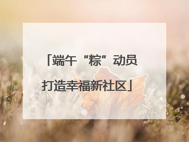 端午“粽”动员 打造幸福新社区