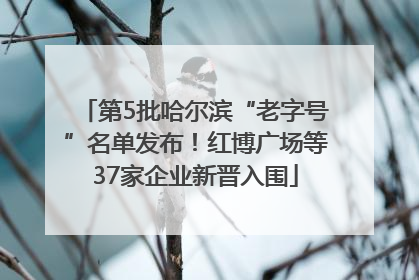 第5批哈尔滨“老字号”名单发布！红博广场等37家企业新晋入围