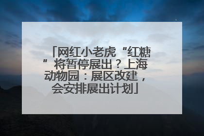 网红小老虎“红糖”将暂停展出？上海动物园：展区改建，会安排展出计划
