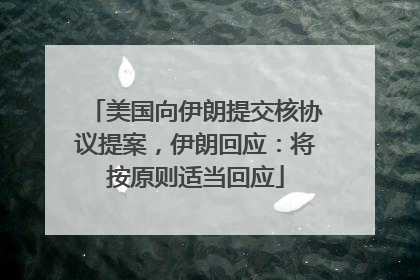 美国向伊朗提交核协议提案，伊朗回应：将按原则适当回应