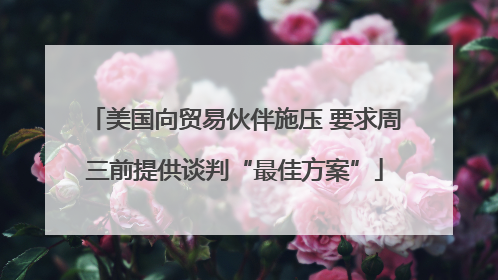 美国向贸易伙伴施压 要求周三前提供谈判“最佳方案”