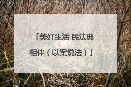 美好生活 民法典相伴（以案说法）
