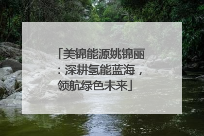 美锦能源姚锦丽：深耕氢能蓝海，领航绿色未来