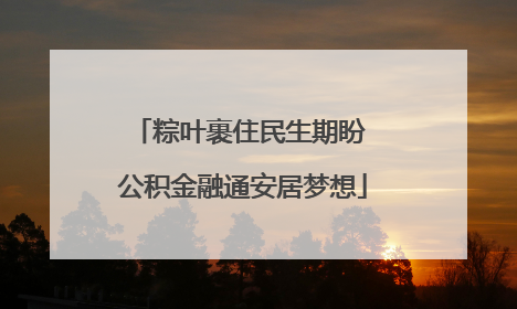 粽叶裹住民生期盼 公积金融通安居梦想