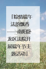 粽情端午 法韵飘香——南阳卧龙区法院开展端午节主题活动