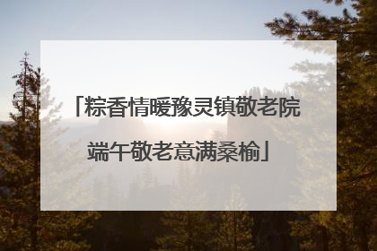 粽香情暖豫灵镇敬老院 端午敬老意满桑榆