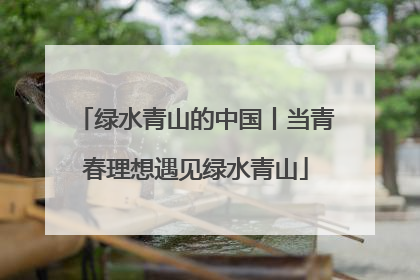 绿水青山的中国丨当青春理想遇见绿水青山