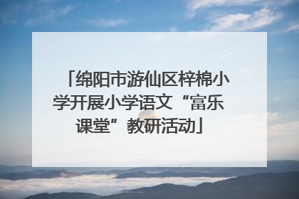 绵阳市游仙区梓棉小学开展小学语文“富乐课堂”教研活动