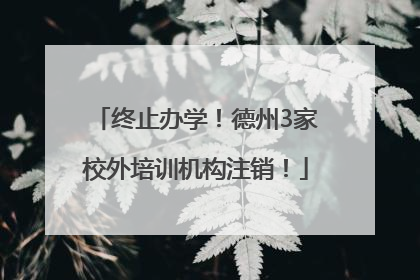终止办学！德州3家校外培训机构注销！