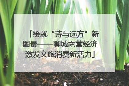 绘就“诗与远方”新图景——聊城露营经济激发文旅消费新活力