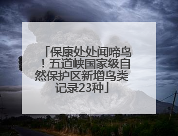 保康处处闻啼鸟！五道峡国家级自然保护区新增鸟类记录23种