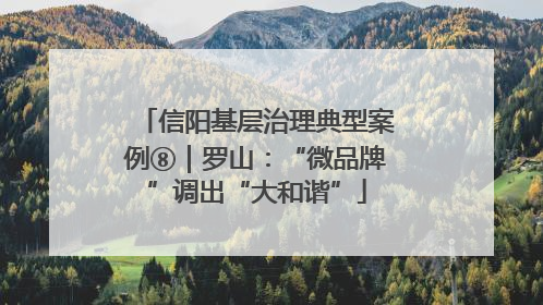 信阳基层治理典型案例⑧｜罗山：“微品牌”调出“大和谐”