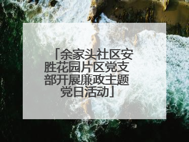余家头社区安胜花园片区党支部开展廉政主题党日活动