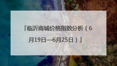 临沂商城价格指数分析（6月19日—6月25日）