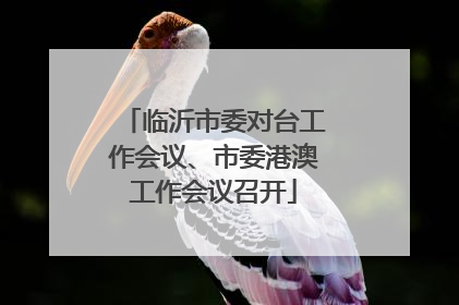 临沂市委对台工作会议、市委港澳工作会议召开