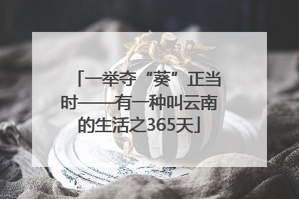 一举夺“葵”正当时——有一种叫云南的生活之365天