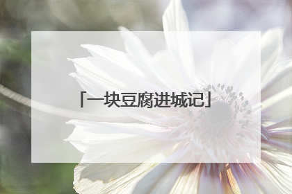 一块豆腐进城记
