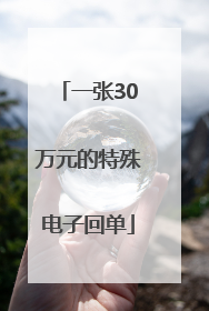 一张30万元的特殊电子回单