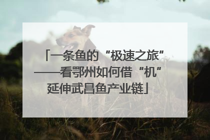 一条鱼的“极速之旅”——看鄂州如何借“机”延伸武昌鱼产业链