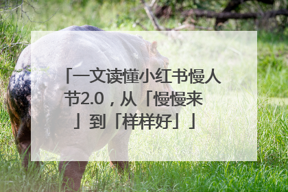 一文读懂小红书慢人节2.0，从「慢慢来」到「样样好」