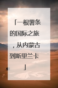 一根薯条的国际之旅，从内蒙古到斯里兰卡