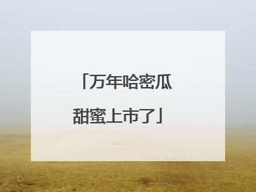 万年哈密瓜甜蜜上市了