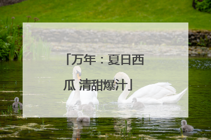 万年：夏日西瓜 清甜爆汁