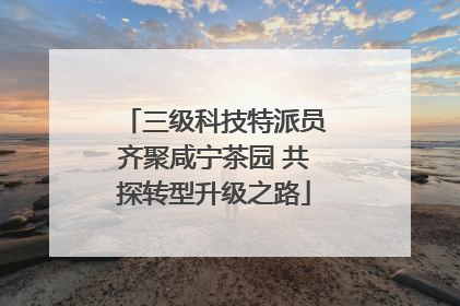 三级科技特派员齐聚咸宁茶园 共探转型升级之路
